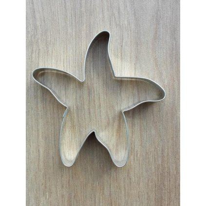 275091 vykrajovatko morska hvezda