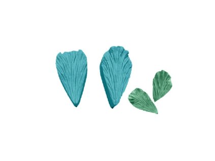 200582 zilkovac list 5x3cm cakesicq