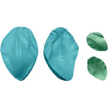 c6d76fe49b874caf3cd4a891555a54ce