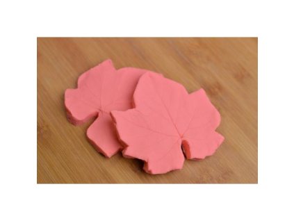 173942 1 zilkovac vinna reva list