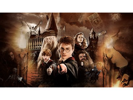 HARRYPOTTERQ (2)