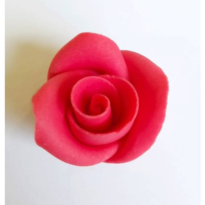 2d05aa3349823410be4d33dcfe56eeba