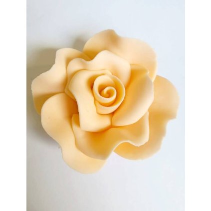 1cc597d1715e2390db0356fd29120536