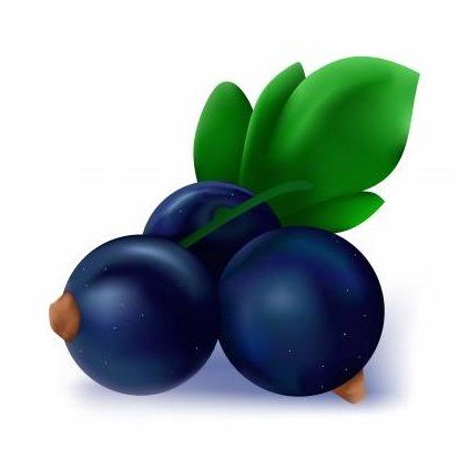 168b04fa1d6527a60fc30192e6f28fd5