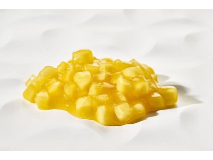 347915 premiova ovocna napln fruitful mango 2 7 kg
