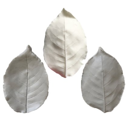 289021 1 cesil silikonovy zilkovac list 4 2 ks