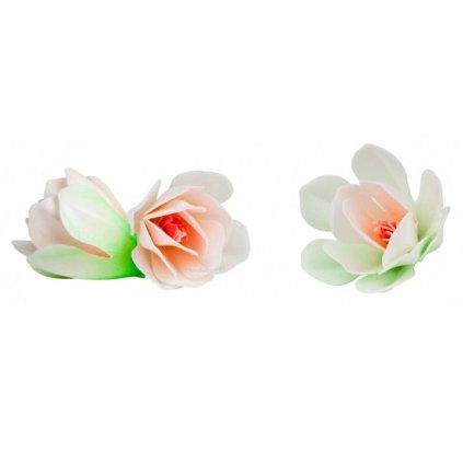 274362 1 dekorace z jedleho papiru magnolie bila 6 ks