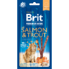 532853 brit premium by nature pamlsky pro kocky 15 g