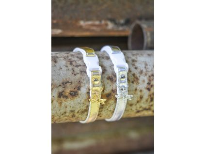 Obojky Dragonfly Glam