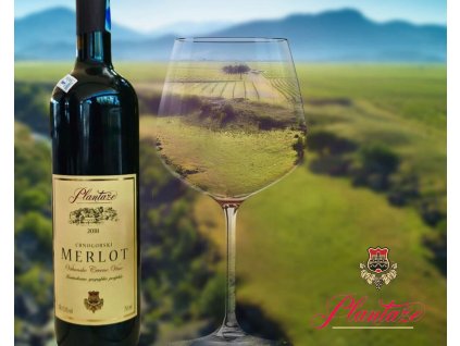 Beige Minimalist Mood Photo Collage