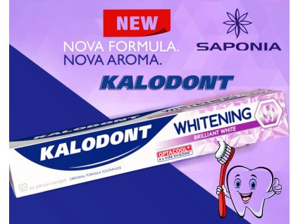 brown modern delicious hamburger (Photo Collage)