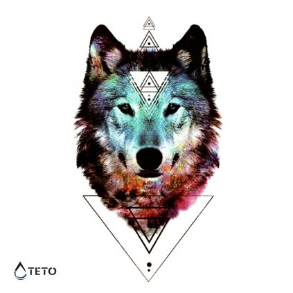 Vlk s trojúhelníky