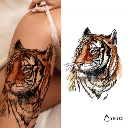 Ein Tiger