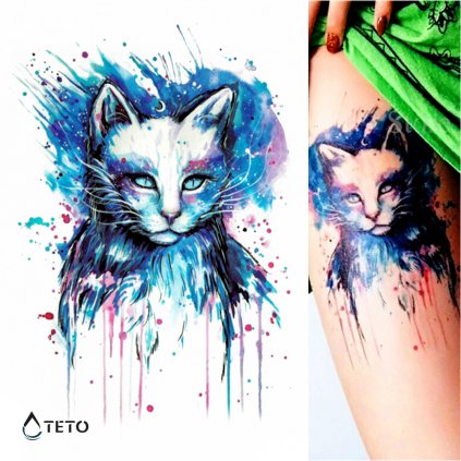 Kot
