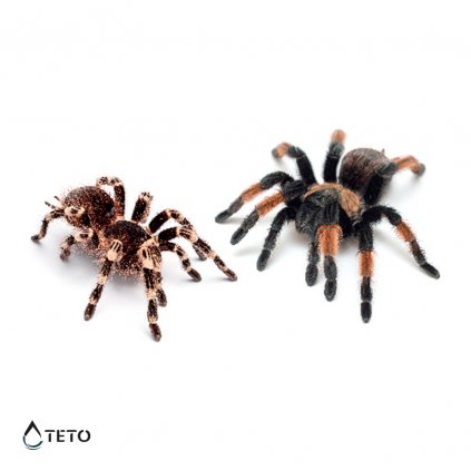 Spiders 3D – set of spiders