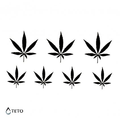 Cannabis - levél