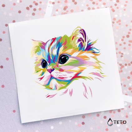 Katze