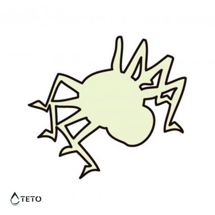 Spinne – leuchtend