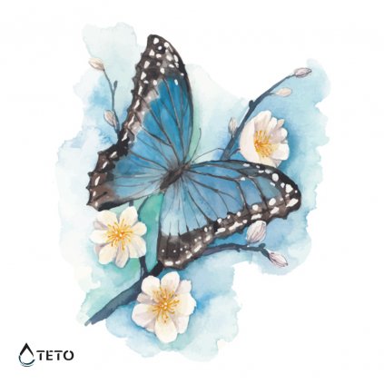Motyl