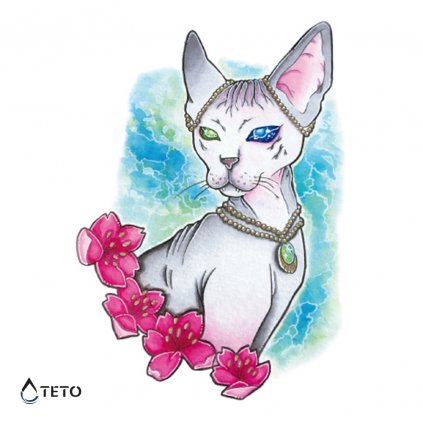 Kot