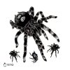 Spiders – set