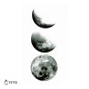 Phases of the moon - set