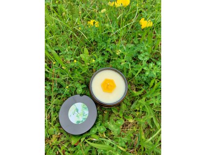 Přírodní REPELENTNÍ svíčka – sójová svíčka proti hmyzu