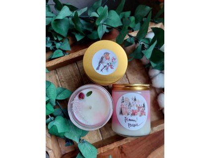 Sójová svíčka ZIMNÍ POEZIE 250 ml