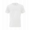 Pánské tričko Classic Regent - White