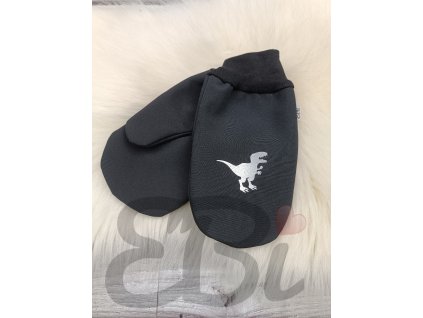 Zimní softshellové rukavice - černé, T-rex