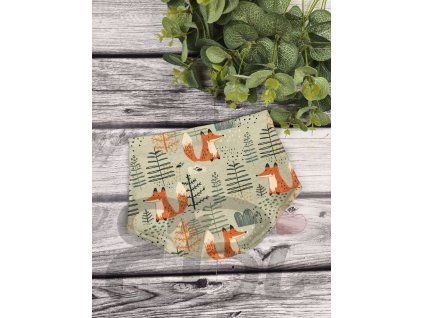 Slintáček - Lišky v lese