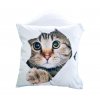 Polštářek KOČKA