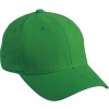 Klasická trendy 6 panelová Flexfit kšiltovka zelená