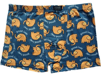 Veselé pánské bavlněné trenkoslipy