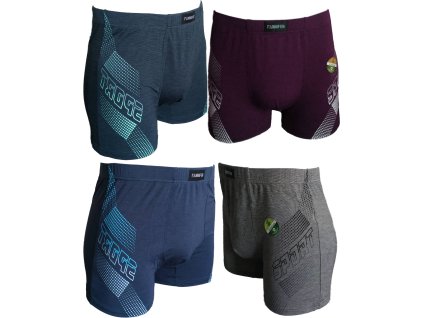 Pánské sportovní boxerky FANNIFEN M6730