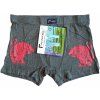 Pánské bambusové boxerky lev M0276