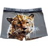 Bavlněné boxerky Tygr FR7631