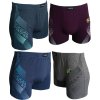 Pánské sportovní boxerky FANNIFEN M6730