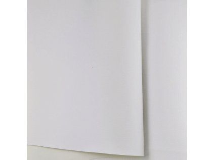 29666 5 ekokuze barva bila standard