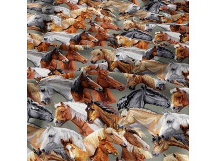 animalkt 224 6