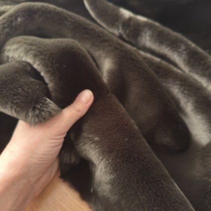 Kožešina medvědí hnědá, synt. na bavlněném podkladu