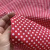 Bavlněné plátno s rypsovou strukturou - bílé puntíky na červené