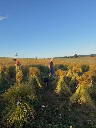 Na lnu se dneska vystřídala snad skoro celá rodina a jenom díky tomu jsme s tím hli. 🥹🔆 Pláž. Jako sociální událost vřele...