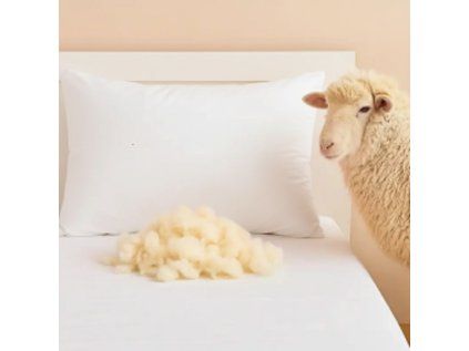 polštář ovčí bílý