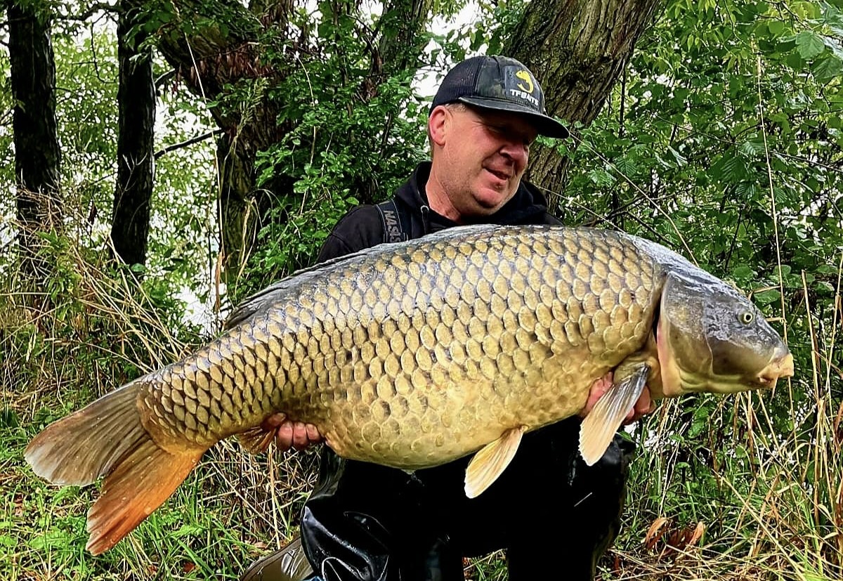 9cf09618-31a9-4608-aac6-ef1b5dc98499