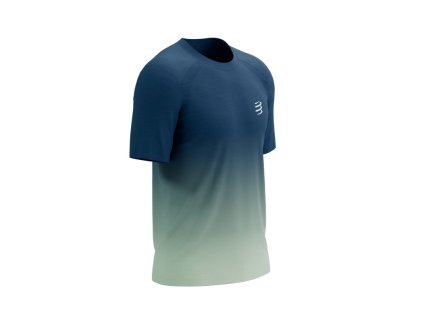 COMPRESSPORT PERFORMANCE SS TSHIRT M POSEIDON/ICE FLOW L