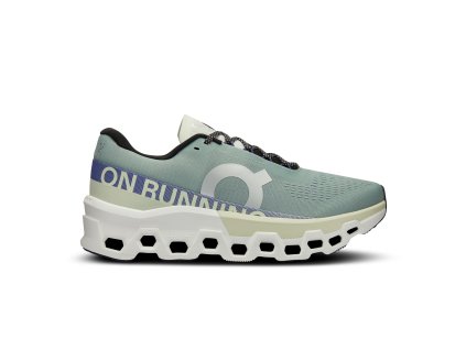 ON Cloudmonster 2,Mineral/Aloe