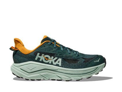 HOKA CHALLENGER 8 BAY LEAF / SAGE