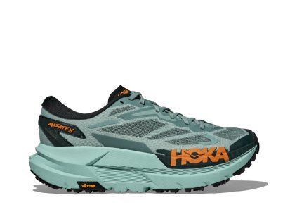 1161990 SRSM 1 700x500