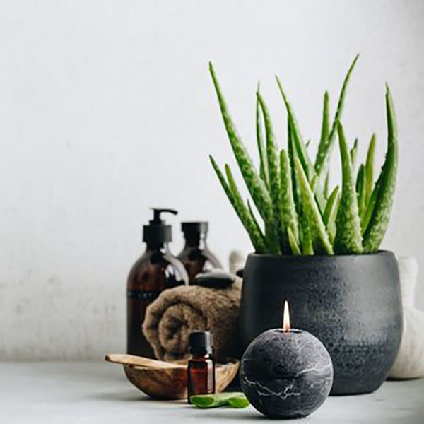 Zklidňující aloe Thai masáž